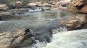 Screenshot_20211231-091826_WhatsApp