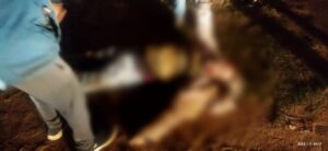 Point-Blur_Jan112022_223553