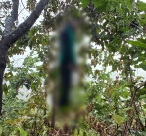 Point-Blur_Jan132022_195505