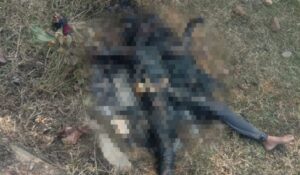 Point-Blur_Jan142022_084605