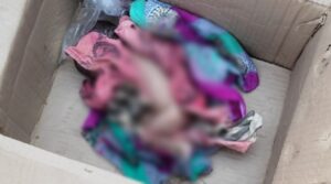 Point-Blur_Feb032022_083523