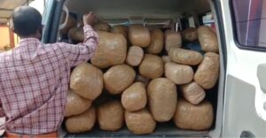 Screenshot_20220307-205831_Gallery