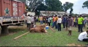 Screenshot_20220729-204308_WhatsApp