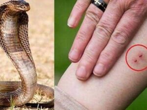 7fe8512d84ffe111728f6d8cbd0f5700_original