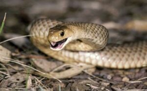 Screenshot_2022-09-16-19-45-06-29_680d03679600f7af0b4c700c6b270fe7