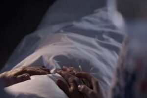 untitled-design-10-29-16487114433x2-3