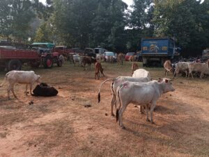 IMG-20221203-WA0069-1