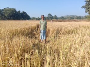 IMG-20221216-WA0028-1